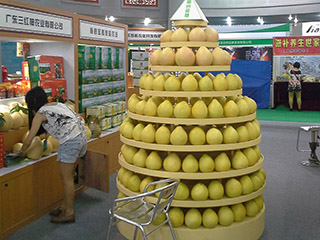 梅州柚子批发，梅州三红蜜柚选广东三红柚农业有限公司