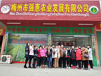 梅江区首届十大农产品品牌---梅州强惠农业