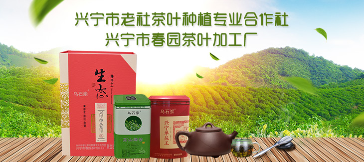 兴宁市老社茶叶种植专业合作社